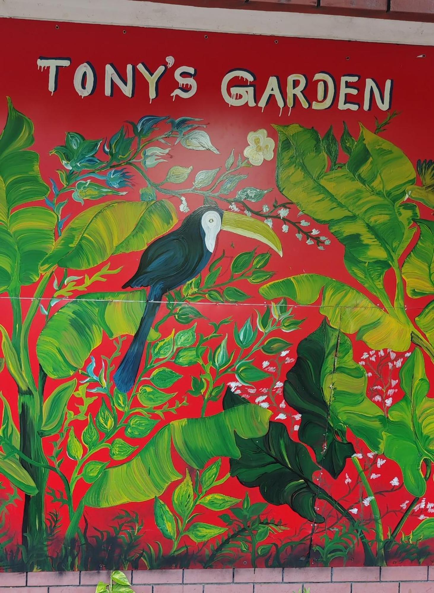 Tony'S Garden House Back Packers Inn จาฟนา ภายนอก รูปภาพ