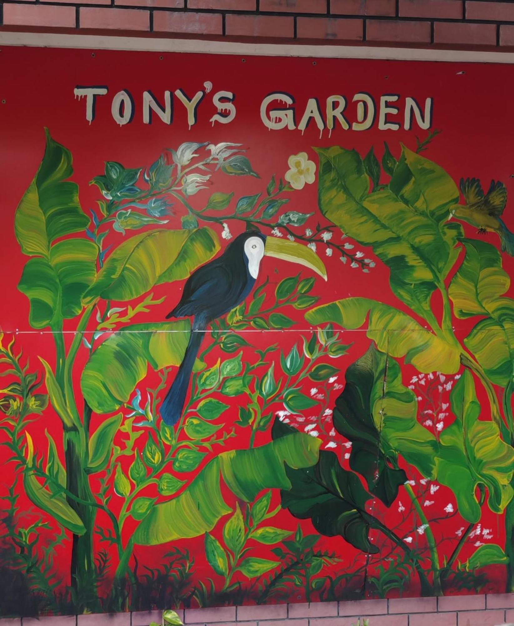 Tony'S Garden House Back Packers Inn จาฟนา ภายนอก รูปภาพ